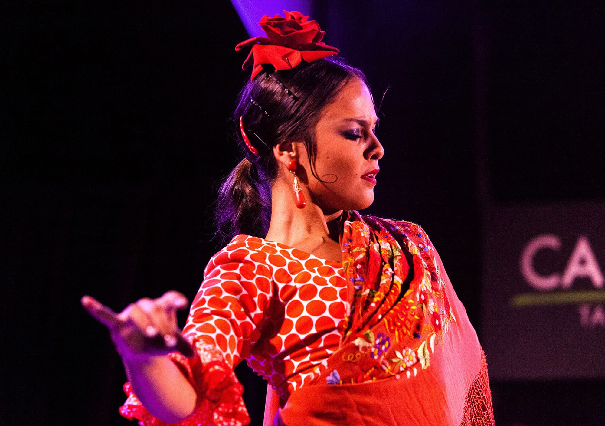 reservieren tickets Show in Cardamomo Tablao Flamenco Madrid